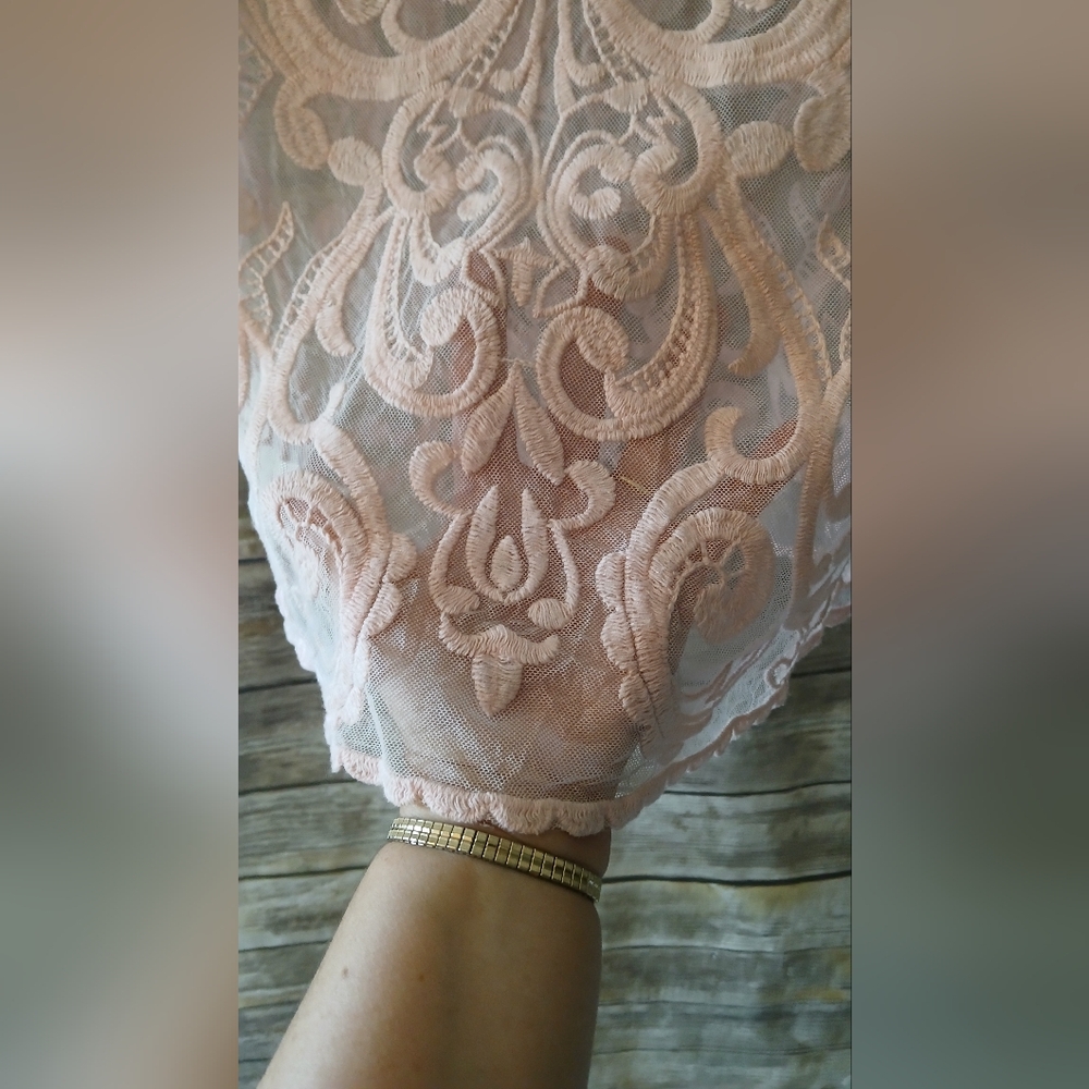 Express Pink Lace Long Sleeve Blush Pink Women Top, Sheer - Picture 13 of 14